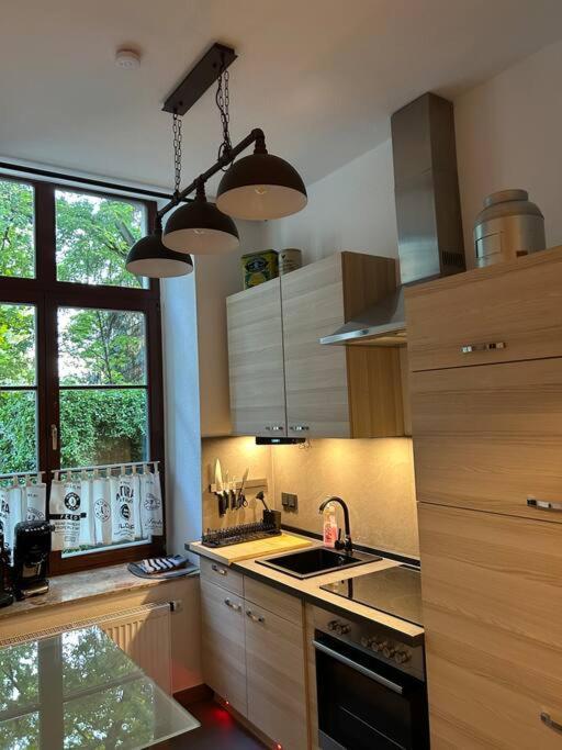 Ruhige Wohnung Im Fabrikstil In Chemnitz Exteriör bild