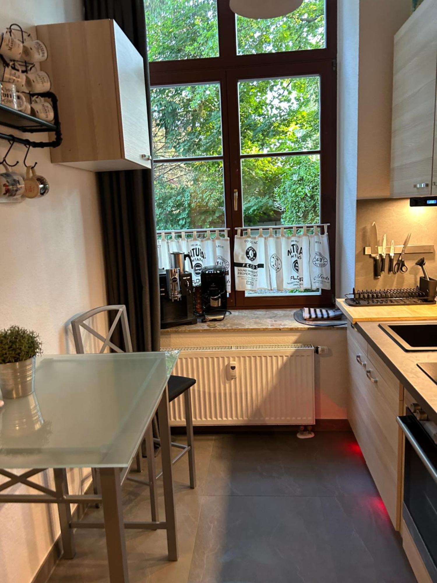 Ruhige Wohnung Im Fabrikstil In Chemnitz Exteriör bild